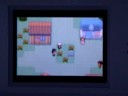 pokemon Emerald part 2