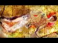 Light's Demise Amv