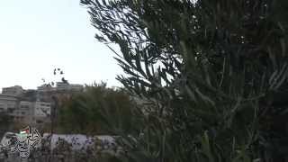 لحظة الغروب من قرية أرطاس في بيت لحم لحظة الغروب من قرية أرطاس في بيت لحم