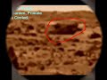 Close up of Moon and Mars Primate Alien Gorillas Close up of Moon and Mars Primate Alien Gorillas