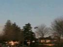 Wildfly 3D 2nd flight