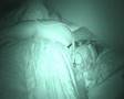 obstructive sleep apnoea 80 seconds 51% oxygen saturation