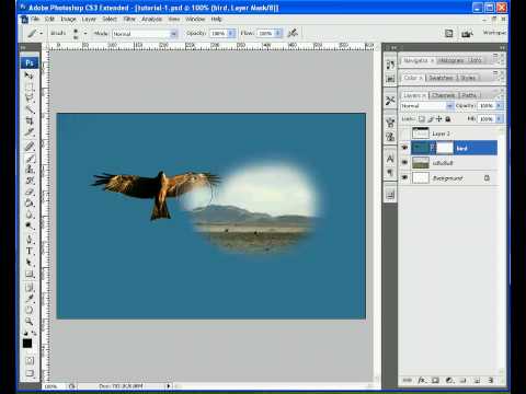 Free Web Tutorial: Using Layers and Masks in Photoshop