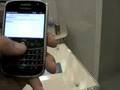 Blackberry-Bold-Hand