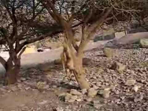 مشاهدة سكس افلام طويلة