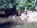 O Senhor da �guas -