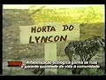 dia  do  professor     projeto  piá na roça  horta escolar