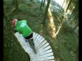 WB Freeride 2008 - Oldschool, newschool, whatschool? WB Freeride 2008 - Oldschool, newschool, whatschool?