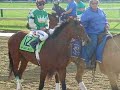 Afleet Alex
