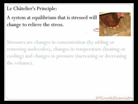 how to know equilibrium shift