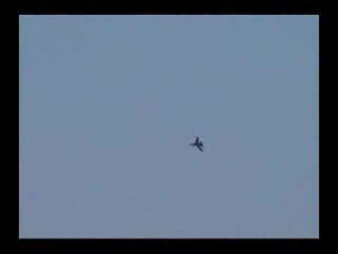 Folland Gnat