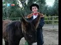 GATO FEDORENTO - Petróleo no Alentejo GATO FEDORENTO - Petróleo no Alentejo