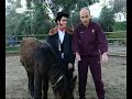 GATO FEDORENTO - Petróleo no Alentejo