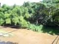 videos de zip-line Wacky Rollers