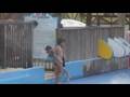 Schlitterbahn Galveston Surfing