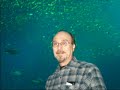 Georgia Aquarium