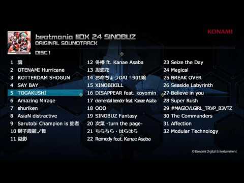 動画
