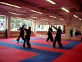 Haedong kumdo basic forms #2,4,5