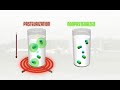 Regeneration_Doug Flack Regeneration_Doug Flack