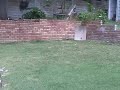 The 'tater gun