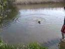 She just loves to swim!