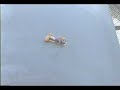 Fast climbing robot (RC) Fast climbing robot (RC)