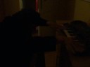 Mati Chopin