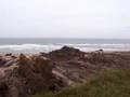 Maer Cliff at Crooklets Beach Bude