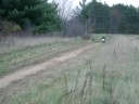 KTM Wheelie #31