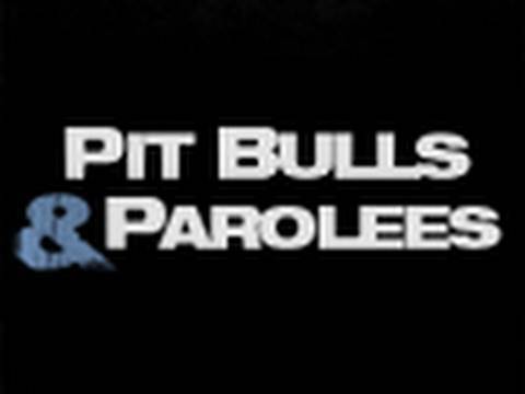 Fall Preview: Pit Bulls & Parolees. More Video: animal.discovery.com Tia Fall Preview: Pit Bulls & Parolees. More Video: animal.discovery.com Tia