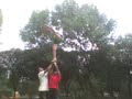 PUMAS CHEER majo y javi stunts