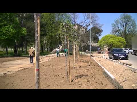 YouTube Preview Image