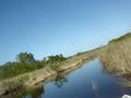 videos de Everglades Air Boat