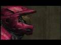 Beautiful Needler 