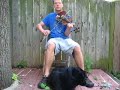 Featherbed-- Kentucky Fiddle Tune