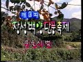 demonstration korean team