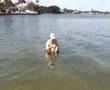 Steve Arvey Day Off Fishing in St Petersburg Florida