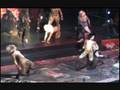 CATS MUSICAL -Grizabella the Glamor Cat/Memory