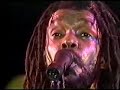 peter tosh   bush doctor   83 holland 