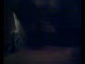 Saxon el perro de se rie raro O_O