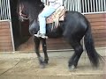 Caballo Negro bailando el bubu Caballo Negro bailando el bubu