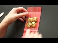 Treat Bag Cover