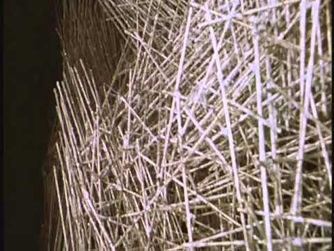 DOC- Harry Bertoia's Sculpture (1965)