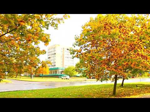 Барановичи день за днем. 17.10.24.