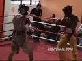 Juan Manuel Lopez Sparring Part 1 Juan Manuel Lopez Sparring Part 1