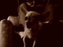 PrincessJewels