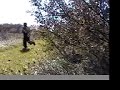 Faberville: The Chase
