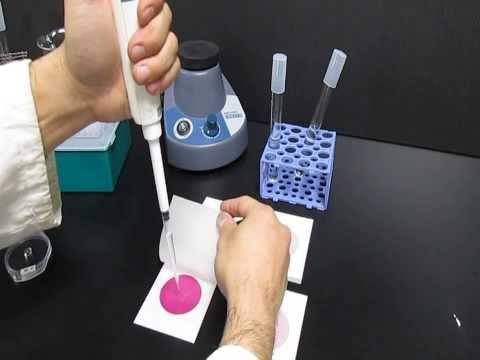 how to isolate e.coli from soil