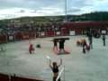videos de El porruo campeonato nacional