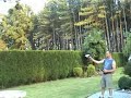 Dragonfly skills